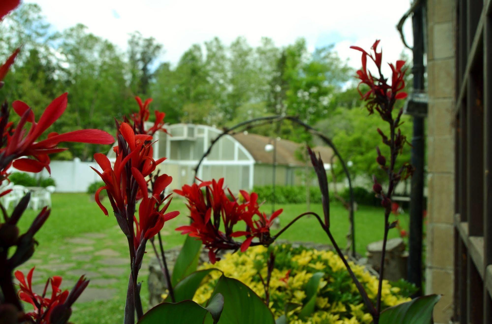Hotel Termas De Lierganes Luaran gambar